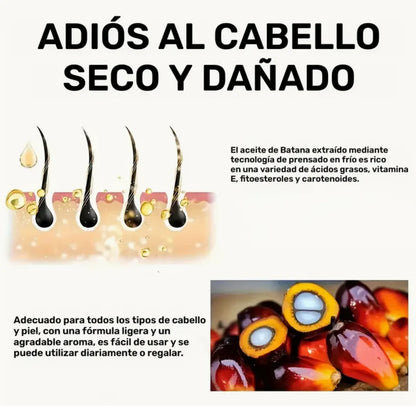 Aceite de Batana 100% Natural - Recupera tu Cabello Desde la Raíz
